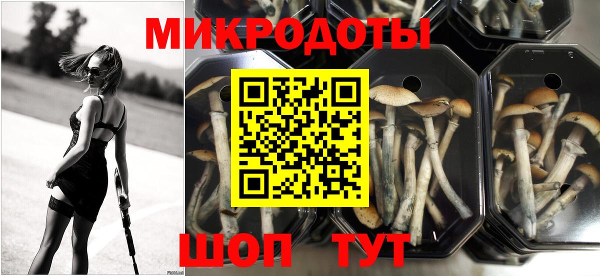 Вольск  Псилоцибиновые грибы прущие грибы  Псилоцибиновые грибы Cubensis  Вход с VPN 
